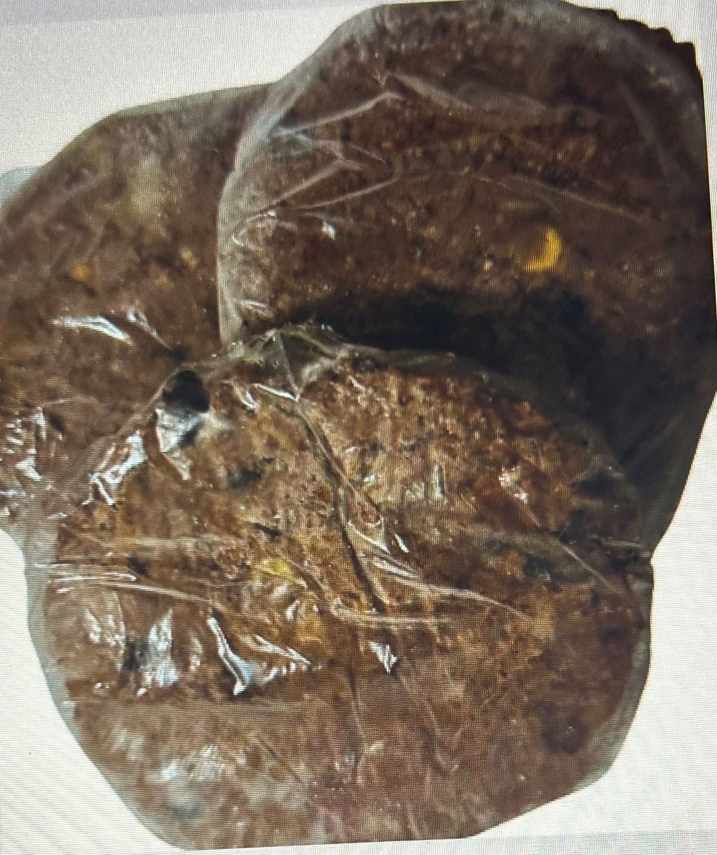 Lucina's Gourmet Cooked Spicy Black Bean Veggie Burgers    5lbs.