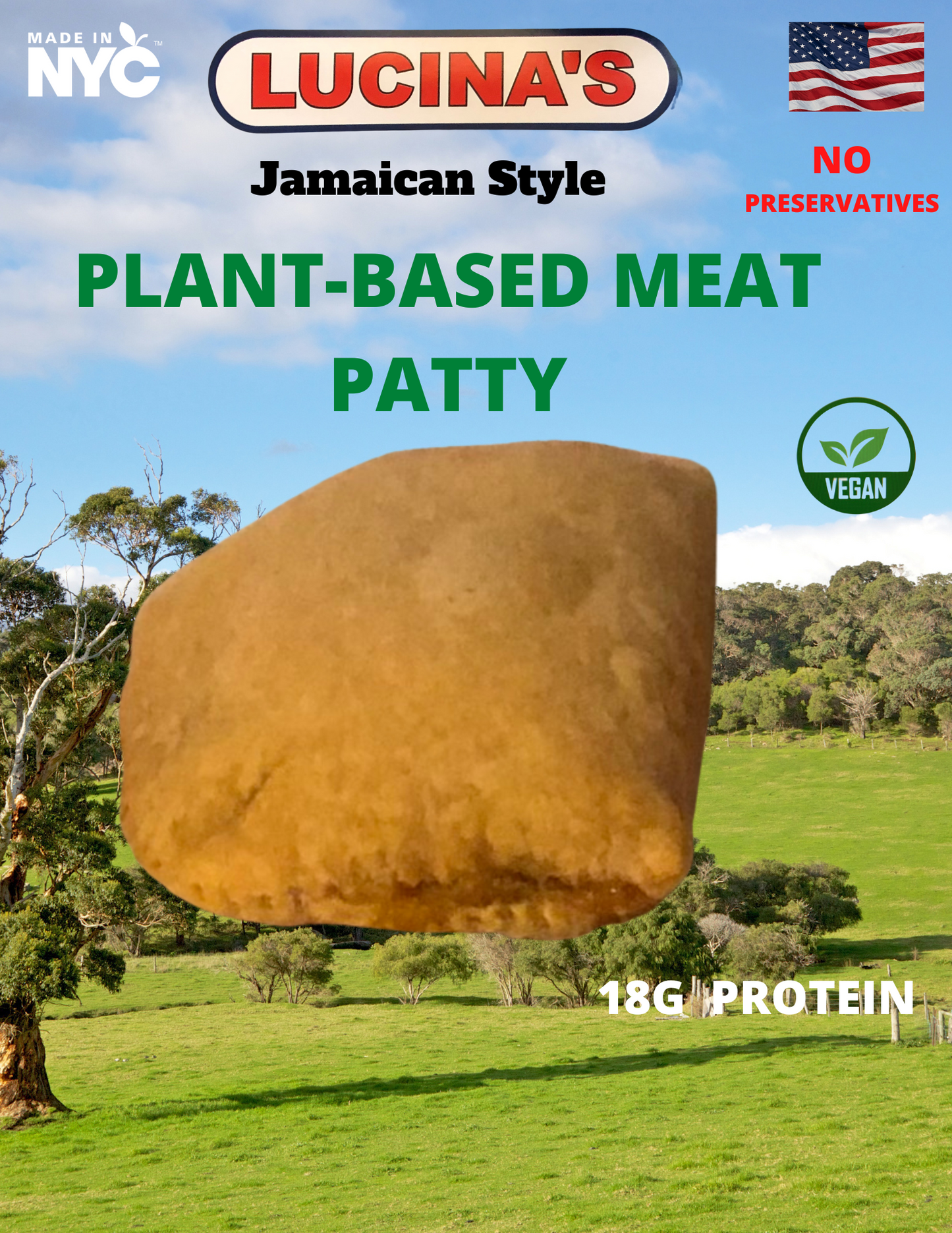Lucina's Gourmet Baked Jamaican Style Spicy Plant-Based Meat Patties 12/5 oz. Packs