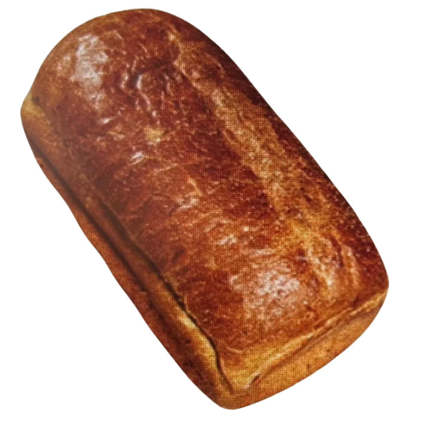 COMING SOON Lucina's Gourmet Whole Wheat Bread